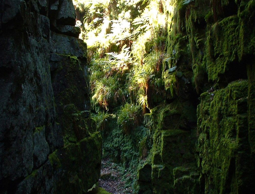 Lud's Church is a deep, discreet crevice which was once used for religious worship during times of persecution.